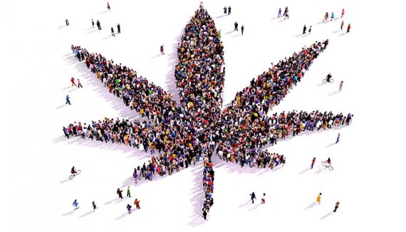 site de rencontre fumeur cannabis